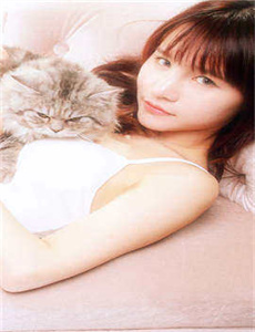 猛龙