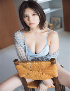 青鸟大全