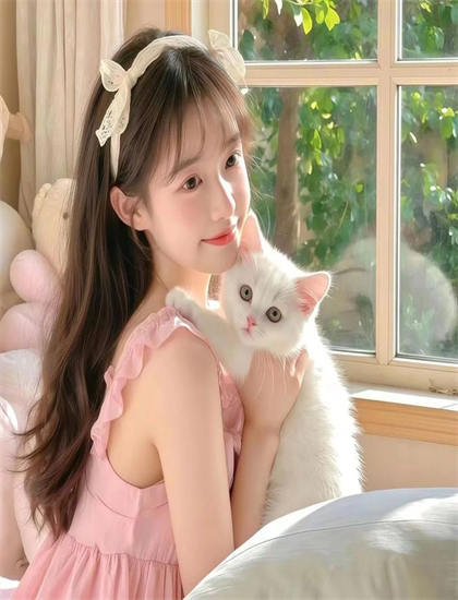 《小红娘脱单攻略》有哪些精彩看点？亮点情节详细解构解析